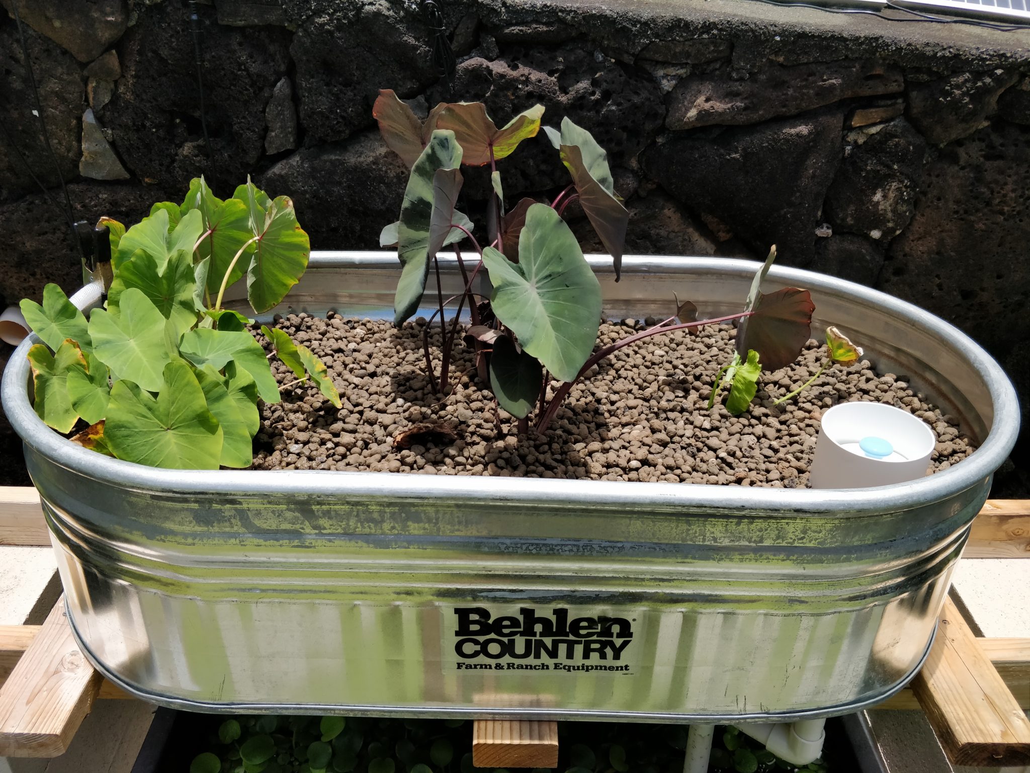 Types of Aquaponics Systems Aquaponics Addict